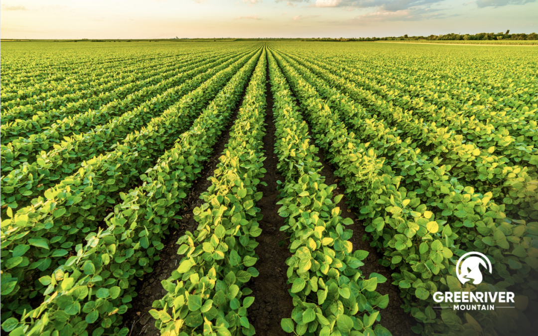 Farmland Investments: Why Wealthy Investors Choose Them in Today’s Uncertain Economy