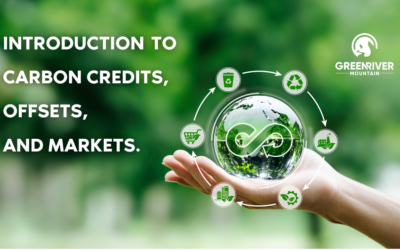 An Introduction to Carbon Credits, Offsets, and Markets